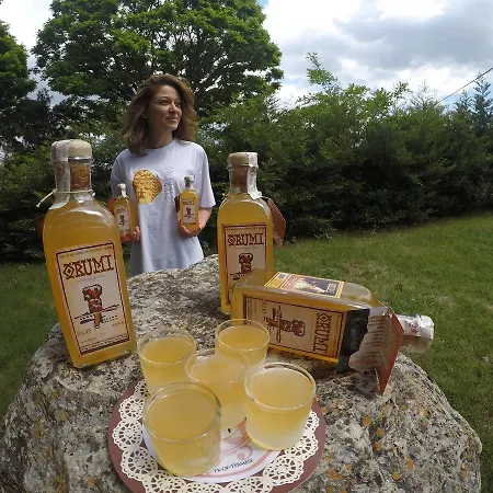 Termes 3* Montejo de Tiermes